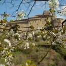 Castello in primavera