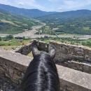 In sella ad un Bardigiano